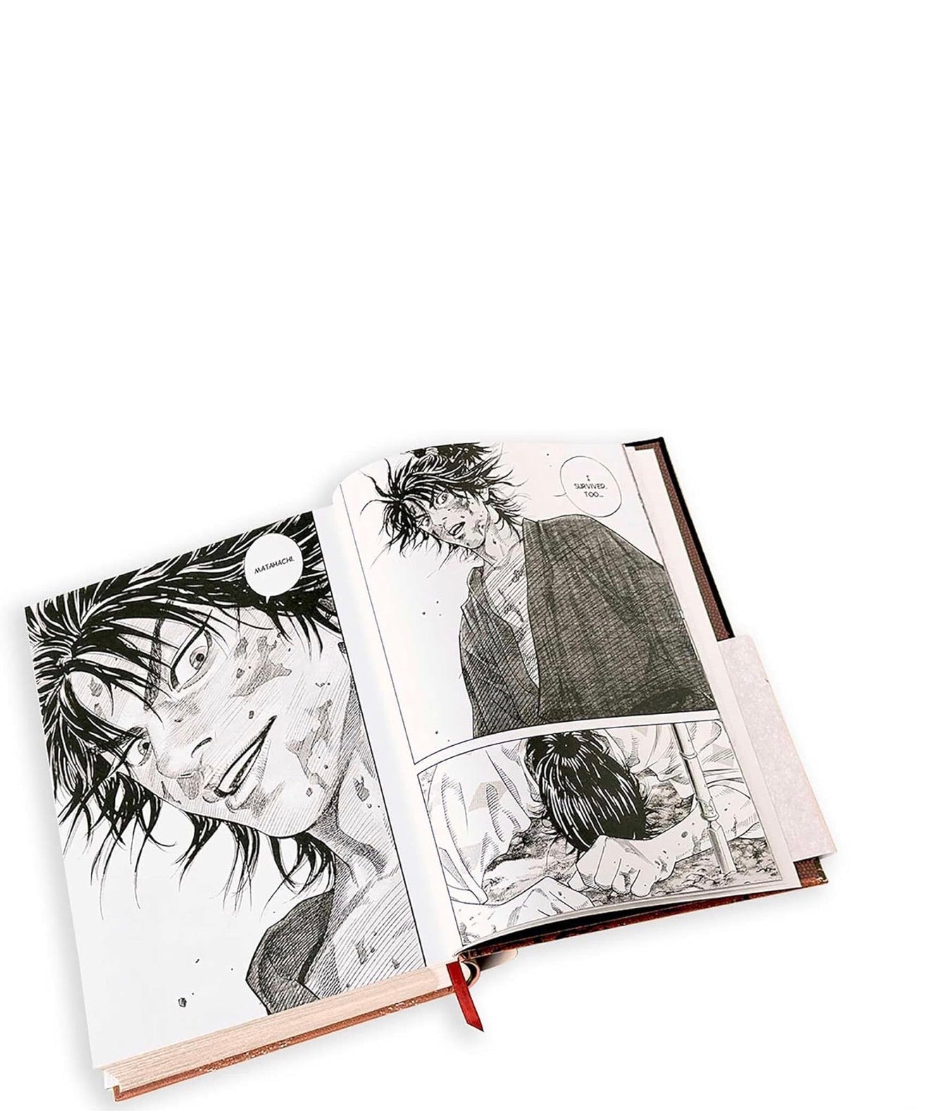 Vagabond Definitive Edition, Vol. 4