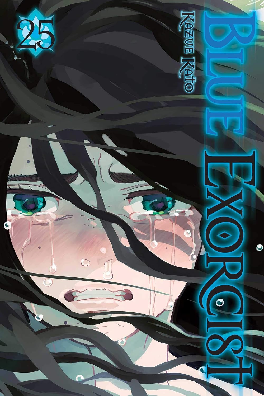 Kazue Kato Blue Exorcist Vol. 25 Manga Book