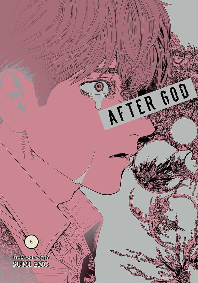 Sumi Eno After God Vol. 6 Manga Book
