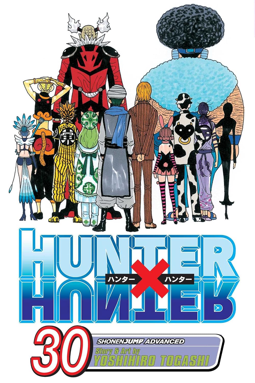 Yoshihiro Togashi Hunter x Hunter Vol. 30 Paperback Manga Book