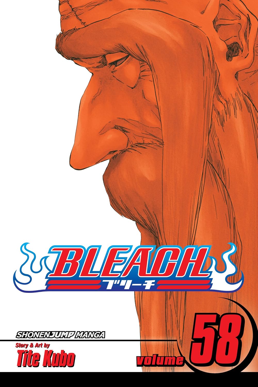 Tite Kubo Bleach Vol. 58: The Fire Manga Book