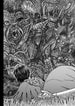 Kentaro Miura Berserk Vol. 41 Paperback Manga Book