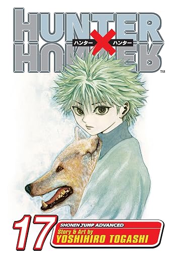 Yoshihiro Togashi Hunter x Hunter Vol. 17 Paperback Manga Book
