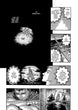Kentaro Miura Berserk Vol. 9 Paperback Manga Book