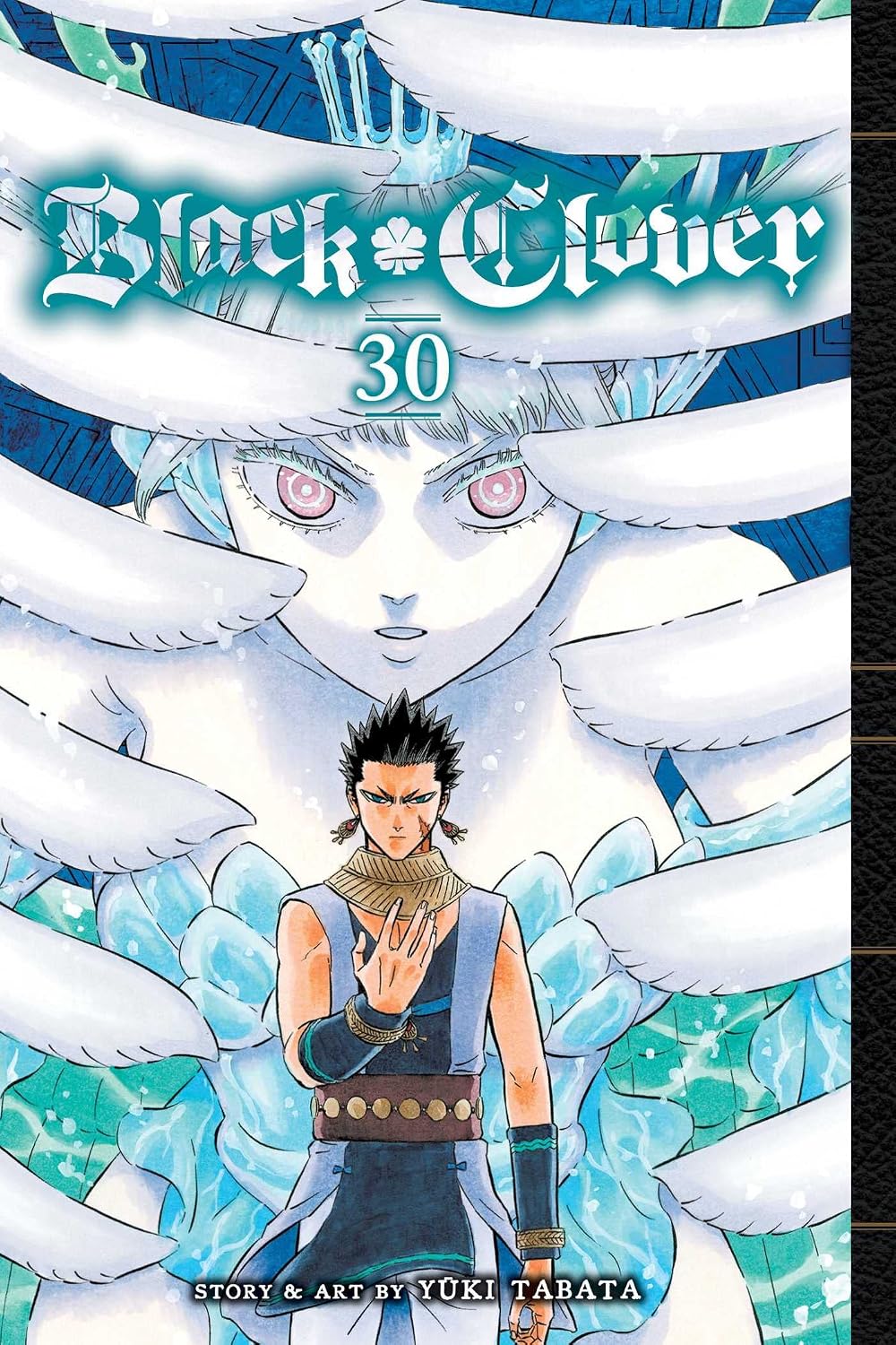 Yuki Tabata Black Clover Vol. 30 Paperback Manga Book