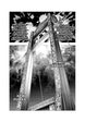 Shin'ichi Sakamoto Innocent Rouge Omnibus Vol. 3 Manga Book
