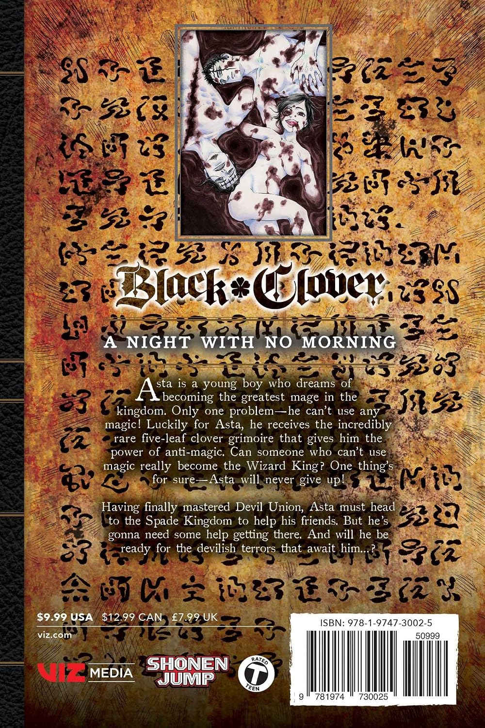 Yuki Tabata Black Clover Vol. 29 Paperback Manga Book